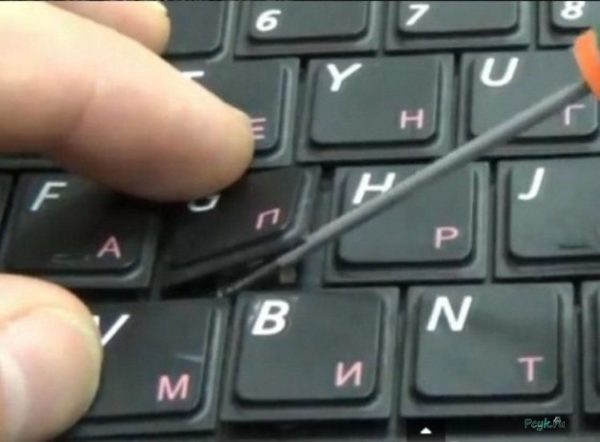 Как вставить клавишу в ноутбуке
