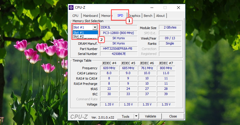 Слоты памяти в CPU-Z